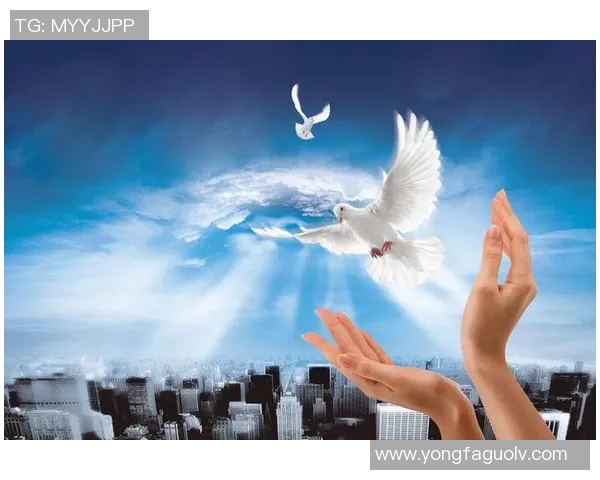 付豪在职场拼搏的故事与成长历程探讨人生的选择与奋斗的意义