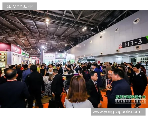 广厦队与上海队激战正酣赛场精彩瞬间回顾与分析 广厦队与上海队激战正酣赛场精彩瞬间回顾与分析