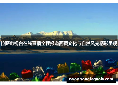 拉萨电视台在线直播全程报道西藏文化与自然风光精彩呈现
