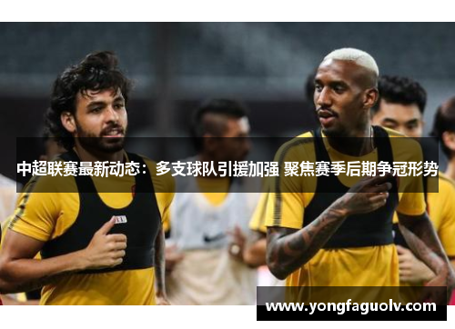 中超联赛最新动态：多支球队引援加强 聚焦赛季后期争冠形势