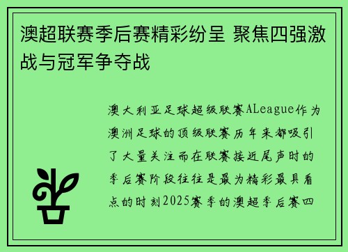 澳超联赛季后赛精彩纷呈 聚焦四强激战与冠军争夺战